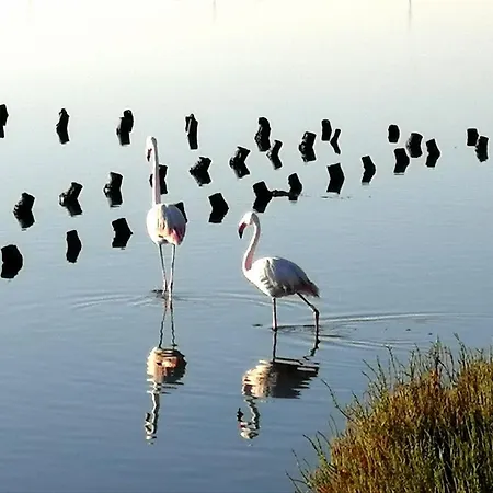 Ginny's Holiday home Quartu Sant'Elena